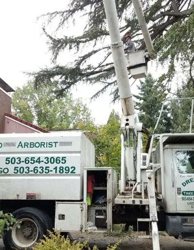 Drendel's Tree Service - Certified Arborist