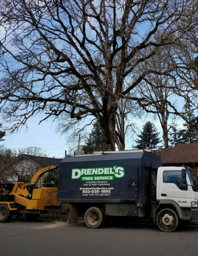 Drendel's Tree Service - Certified Arborist